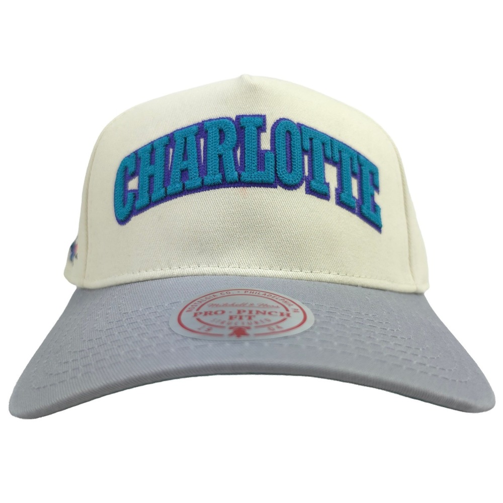 Charlotte Hornets Mitchell & Ness Pro Fit Snapback Hat Cap 3D Chainstitch NWT